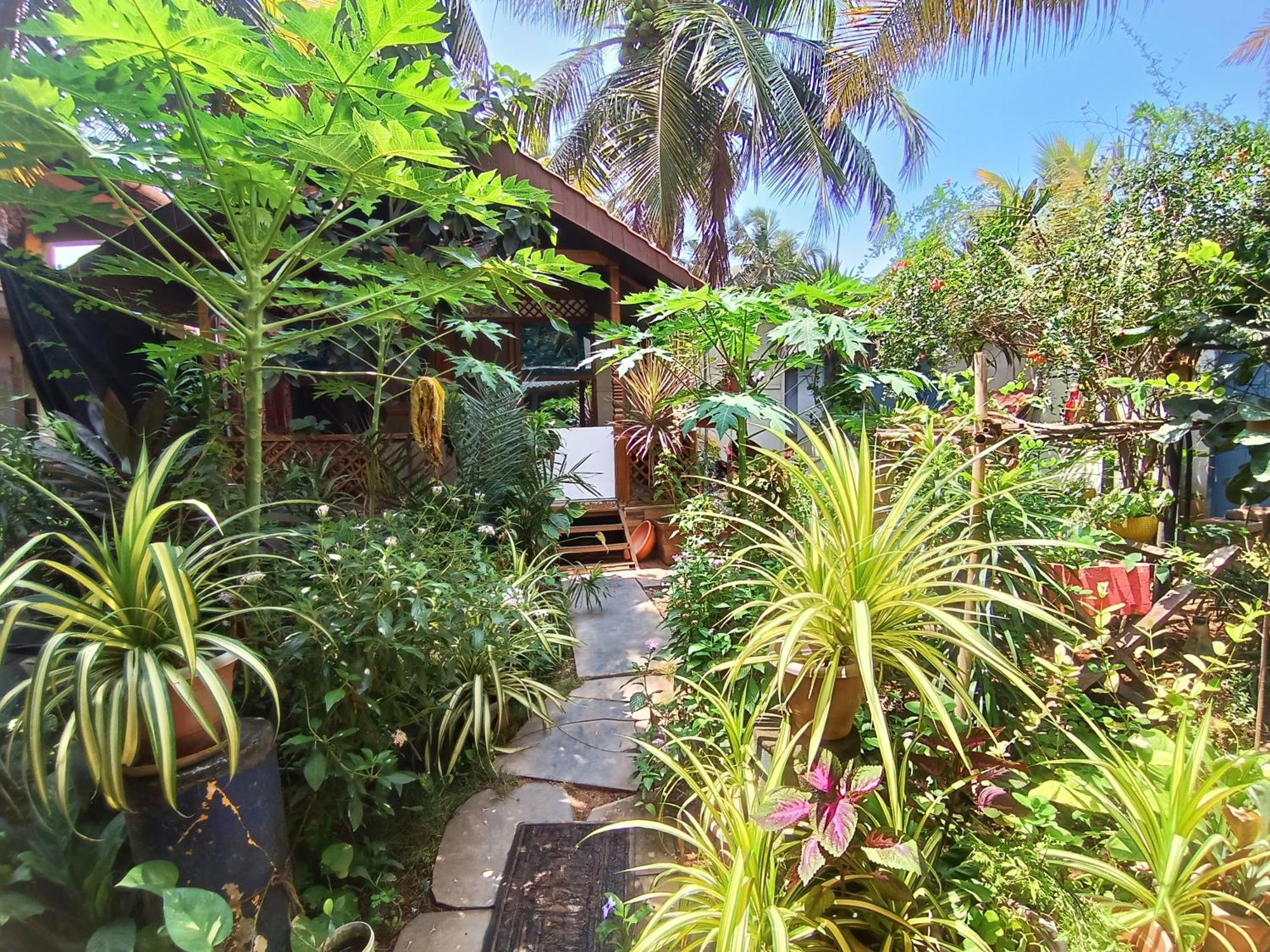 Monsoon Agonda Exterior foto